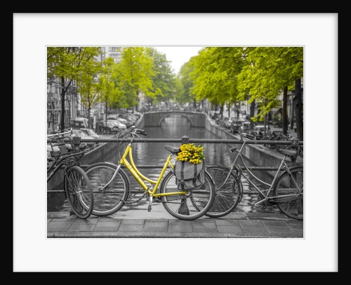 Bicycle with flowers at canal by Assaf Frank